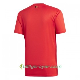 Billige Fotballdrakter Belgia Hjemmedraktsett 2018